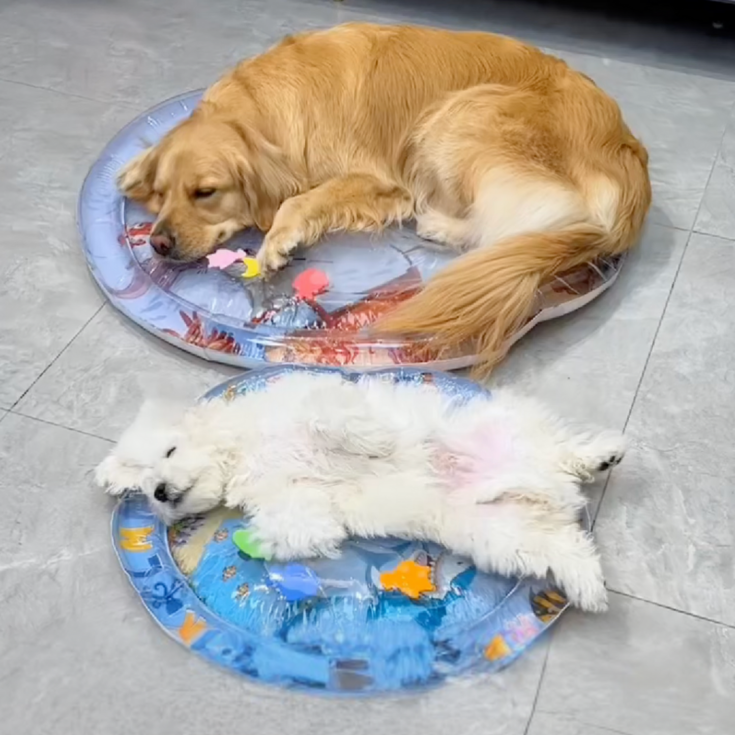 Cooling Water Bed
