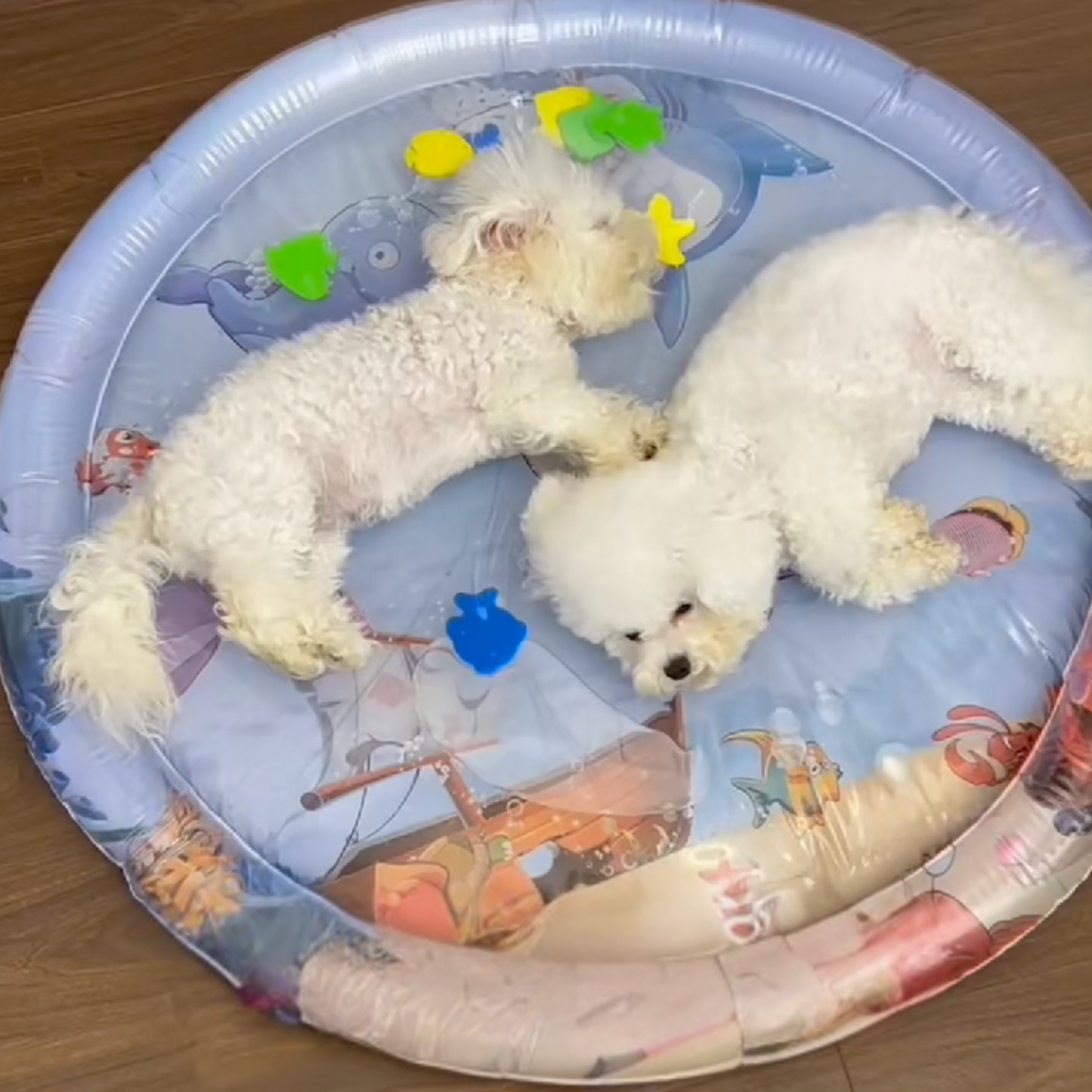 Cooling Water Bed