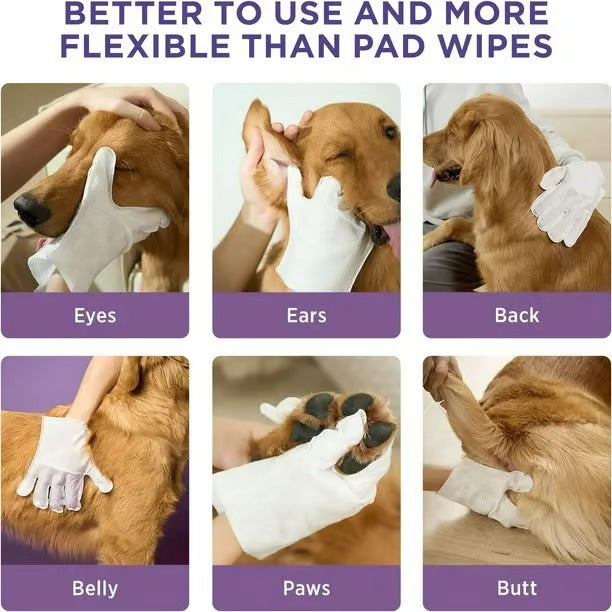 š„2025 New Arrivalš„Deodorizing Pet Glove Wipes For Dogsļ¼6Pcs)