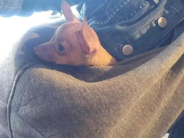 Safety sling