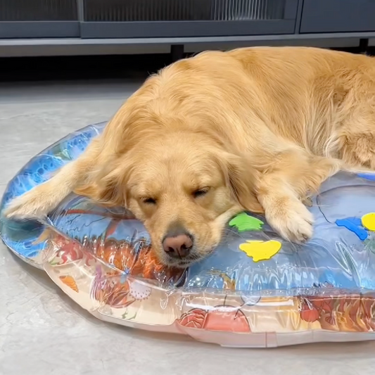 Cooling Water Bed