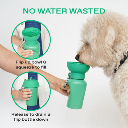 Flip Dog Travel Bottle
