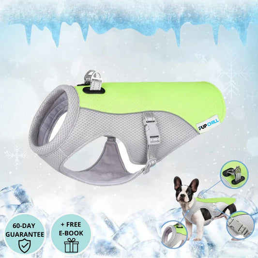 Dog Cooling Vest
