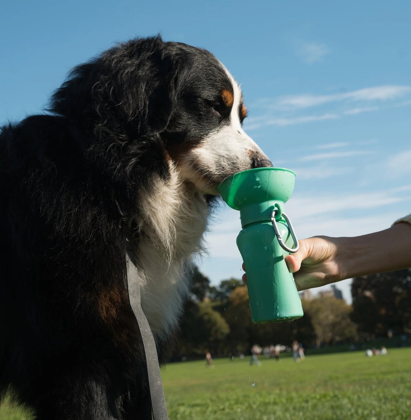 Flip Dog Travel Bottle