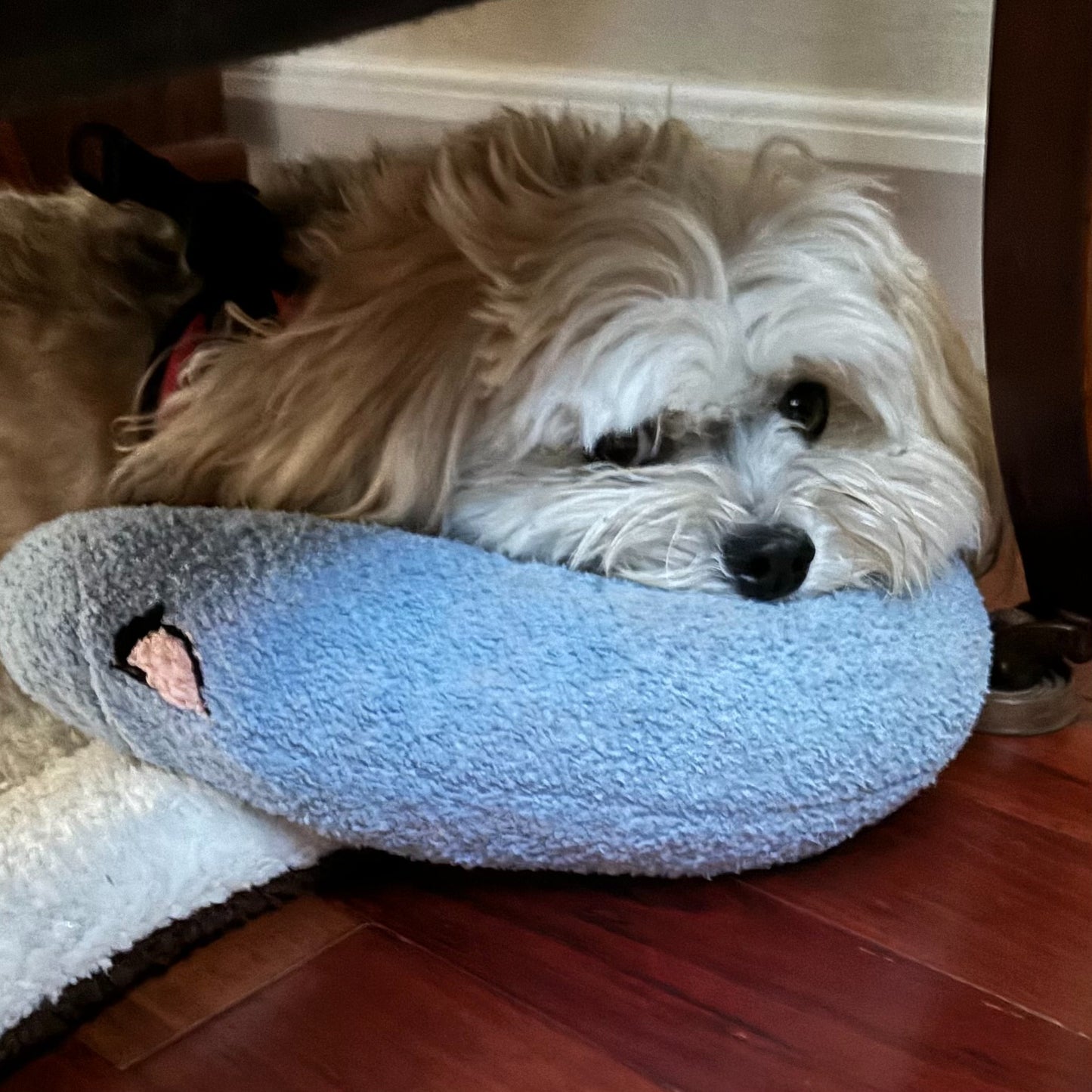 The Calming Pillow